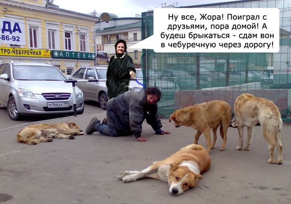 Лучший друг человека.... или наоборот!?