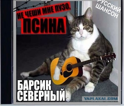 Друзья, послушайте мою новую песню!