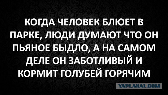 Фотки и картинки: юморные и красивые, забавные и милые 23.09.20