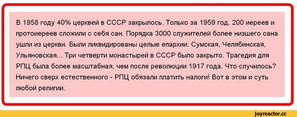 У жителей Приморского района Петербурга украли елки, чтобы посадить их у храма