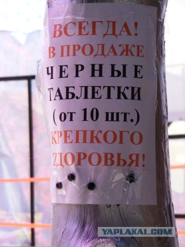 Объявления на Казантипе 2008 Z16