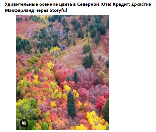 Фото-винегрет-3. Картинки ниапчём и обо всём