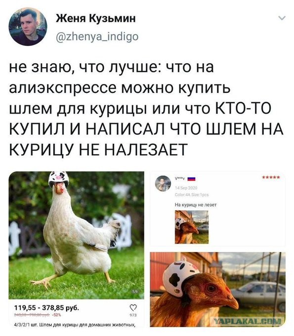 Бредзона 08.02.2021
