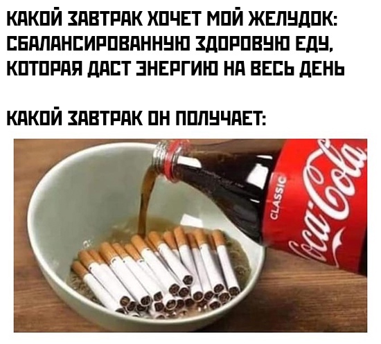 Весёлый полтишок 8.08