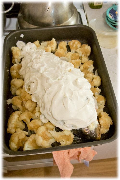 International одной книги., В память о Дженибеке.