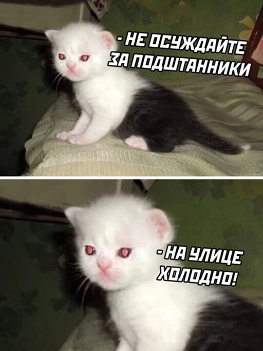 Баянисто-небаянистый юмор 24.01.22