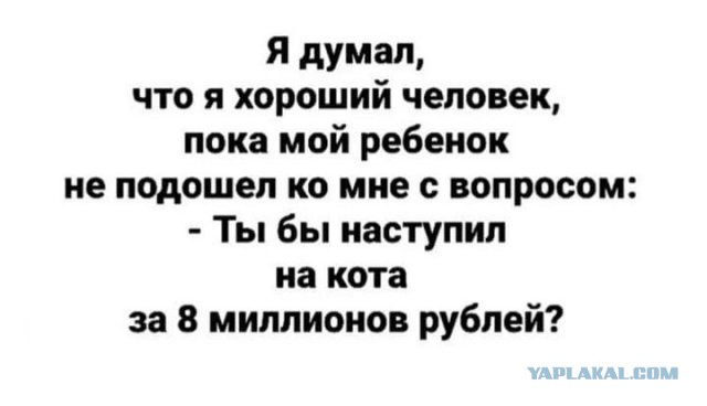 Бредзона