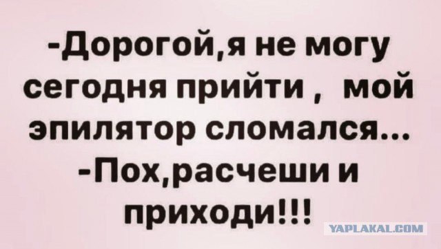 Давайте просто подеградируем над БАЯНАМИ