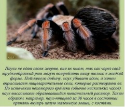 70 удивительных фактов