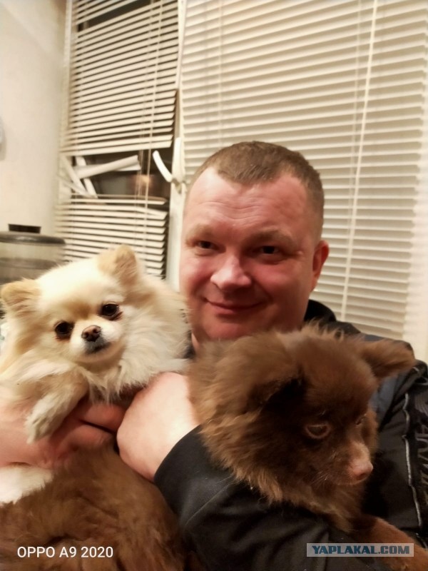 Мощный славянский оберег от всех проблем - Котоврат!