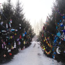 Поездка в Красноярск