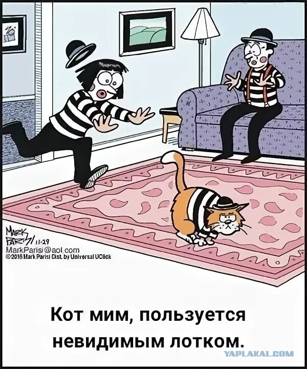 Переводчик человек прикол. Off the mark. Стирка юмор. Незаметные котики. Off the mark.