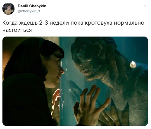 Мемы про кротовуху