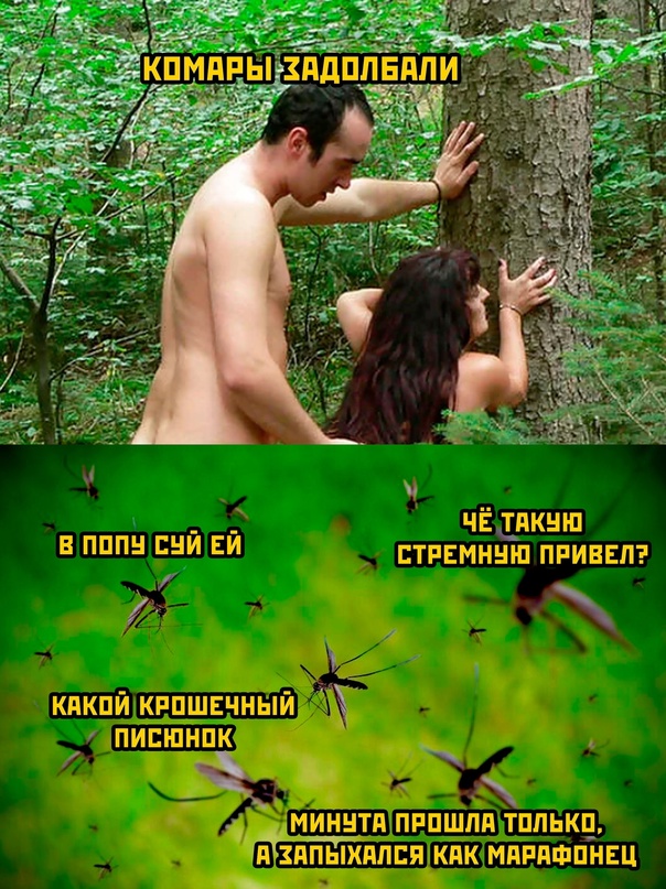 Весёлый полтишок 08.05.23