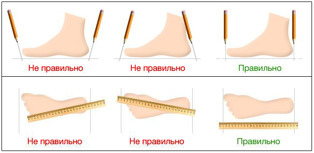 Кто проверял?