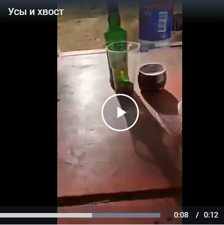 Усы и хвост - Квадробер выходит из леса