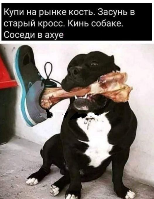 Картинки разные с надписями и без