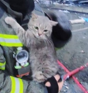 Чудесное спасение
