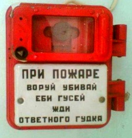 Лемур из Ростовского зоопарка подружился с голубем и согревает его