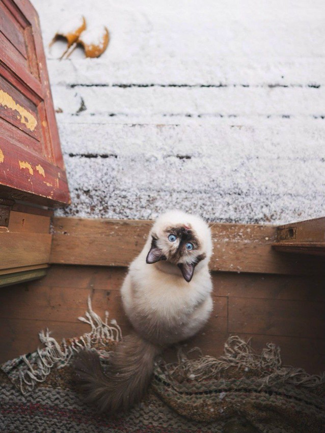 Картиночки на 15.01.2026