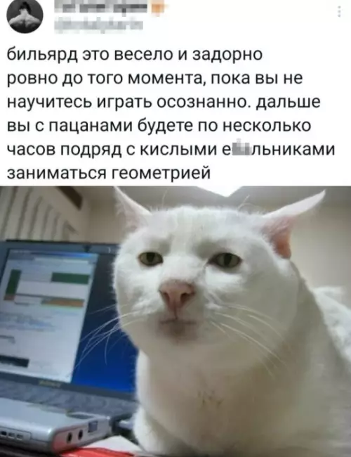 Веселое настроение в картинках (14.02.2025)