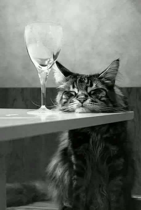 Утро 9 марта