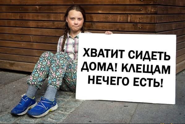 Как клещи захватили Россию за 30 лет. Индустрия зарабатывает на том, что вы боитесь выйти на природу