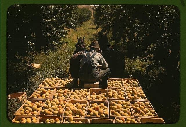 Цветные фотографии из Америки 1940-х