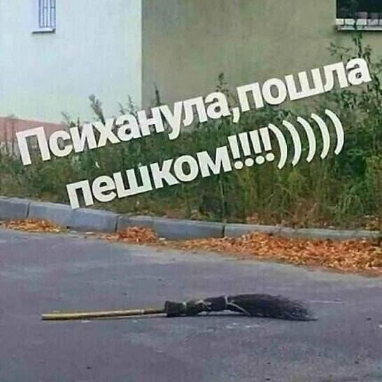 Картинки для деградации 293 (разной степени свежести)