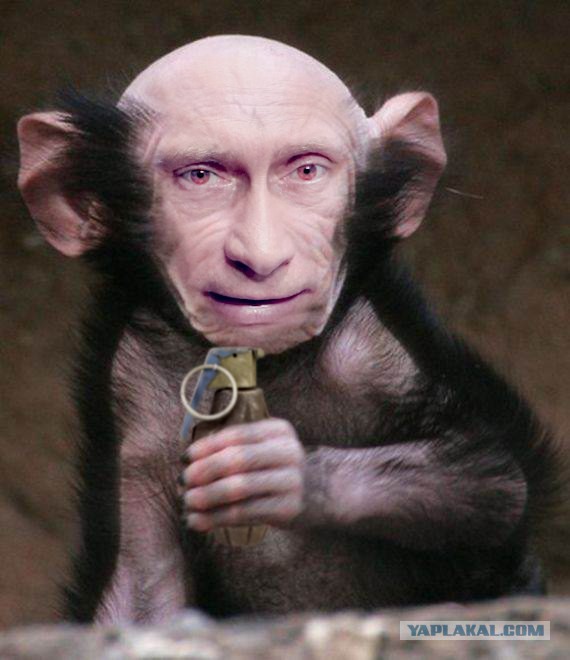 Путин вернул стране статус великой державы