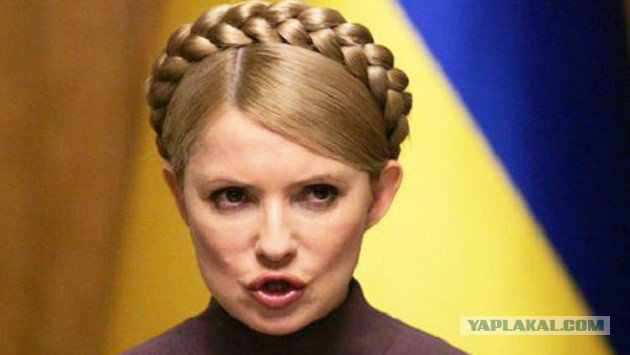 Тимошенко предложила провести референдум