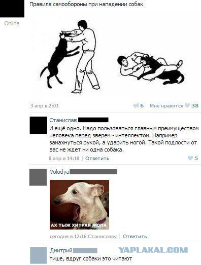 Владельцы собак, держите собак крепче...