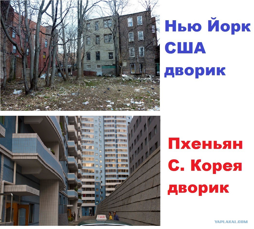 Северная и южная корея разница