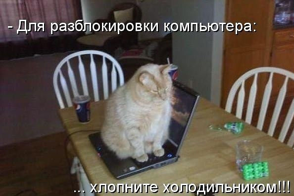 Немного позитива на пятницу.
