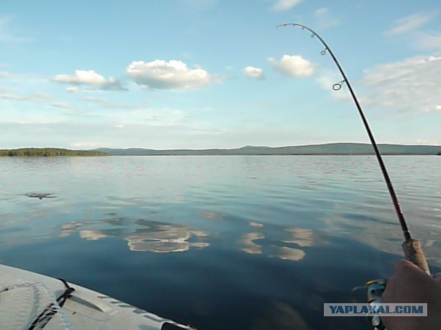 Две недели на Иовском водохранилище. Соколозеро.