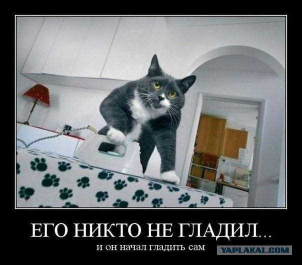 С миру по нитке. Демотиваторов чуть