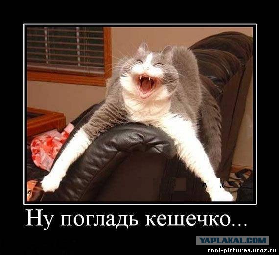 Когда зеленят все комментарии подряд