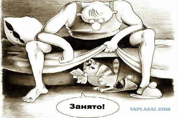 Кот в сапогах - это не сказка