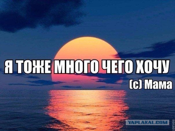 1 сентября - самый тихий день на ЯПе!