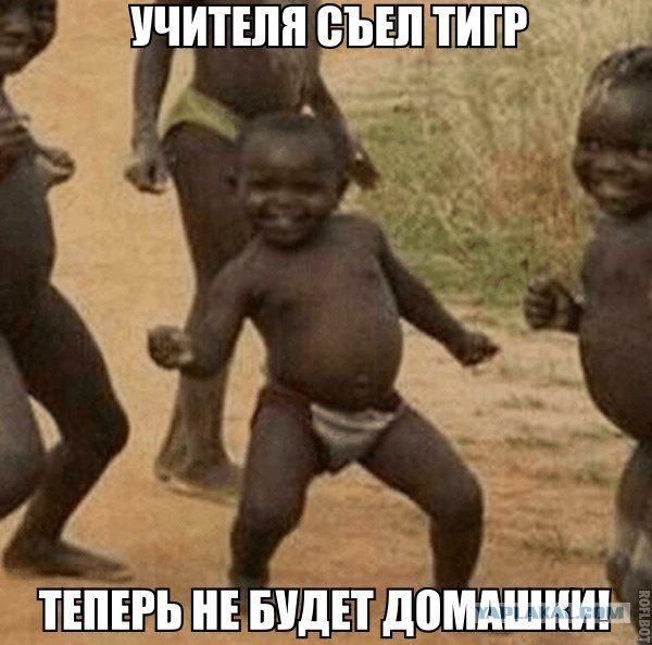 Подборка весёлых картинок