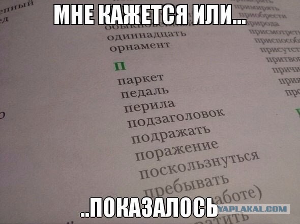 Свежие картинки из сети