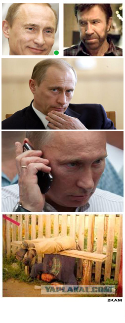 Полностью