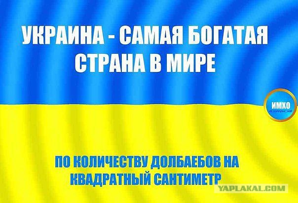 Гигантская окопоройка спасет Украину