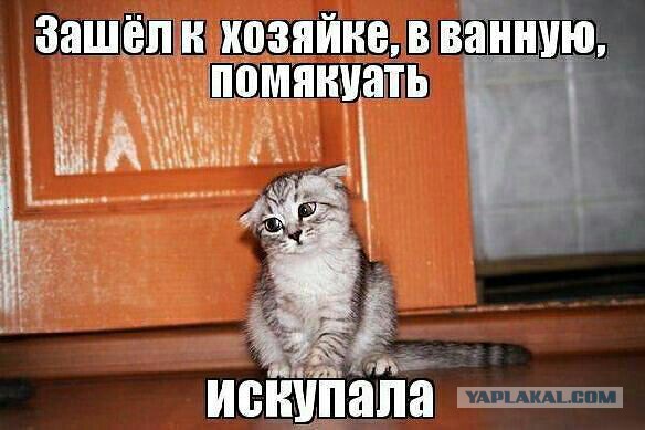 Весёлые картинки на субботу