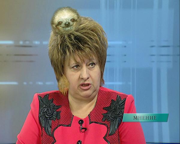 Весёлые картинки