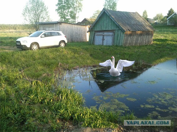 Хочется пройтись матом по ОД Mitsubishi в Москве