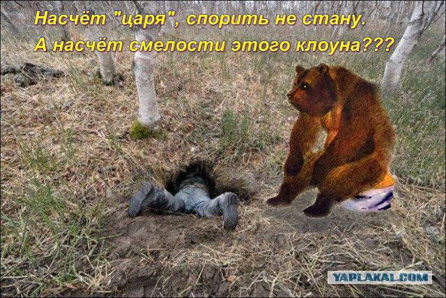 В гостях у медведя