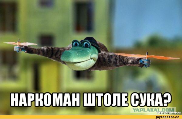 Я понял план Хохлов
