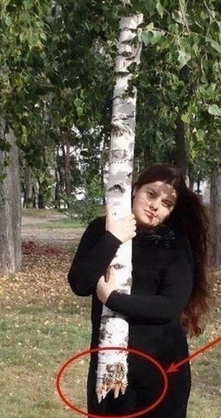 Веселые картинки