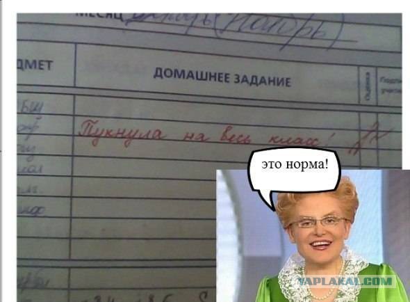Весёлости в картинках